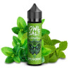 OWL Salt Longfill - Spearmint