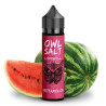 OWL Salt Longfill - Watermelon