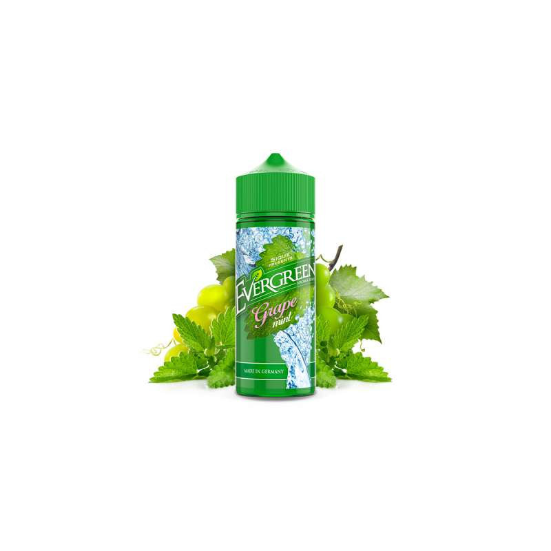 EVERGREEN - Grape Mint