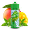 EVERGREEN - Mango Mint